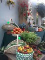 /album/galleria-foto-agriturismo/a20120731-095351-jpg/
